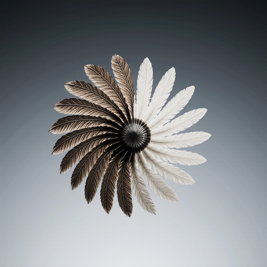 Radial Turbine of an Organic Rankine Cycle System with Curved Stator Vanes Inspired by a Bird Feather © AI Illustration